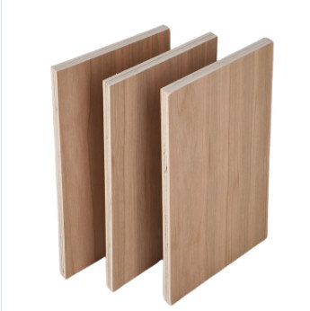 AAA Grade Natural Red Oak White Ash Black Walnut Beech Red Cherry Fancy Plywood