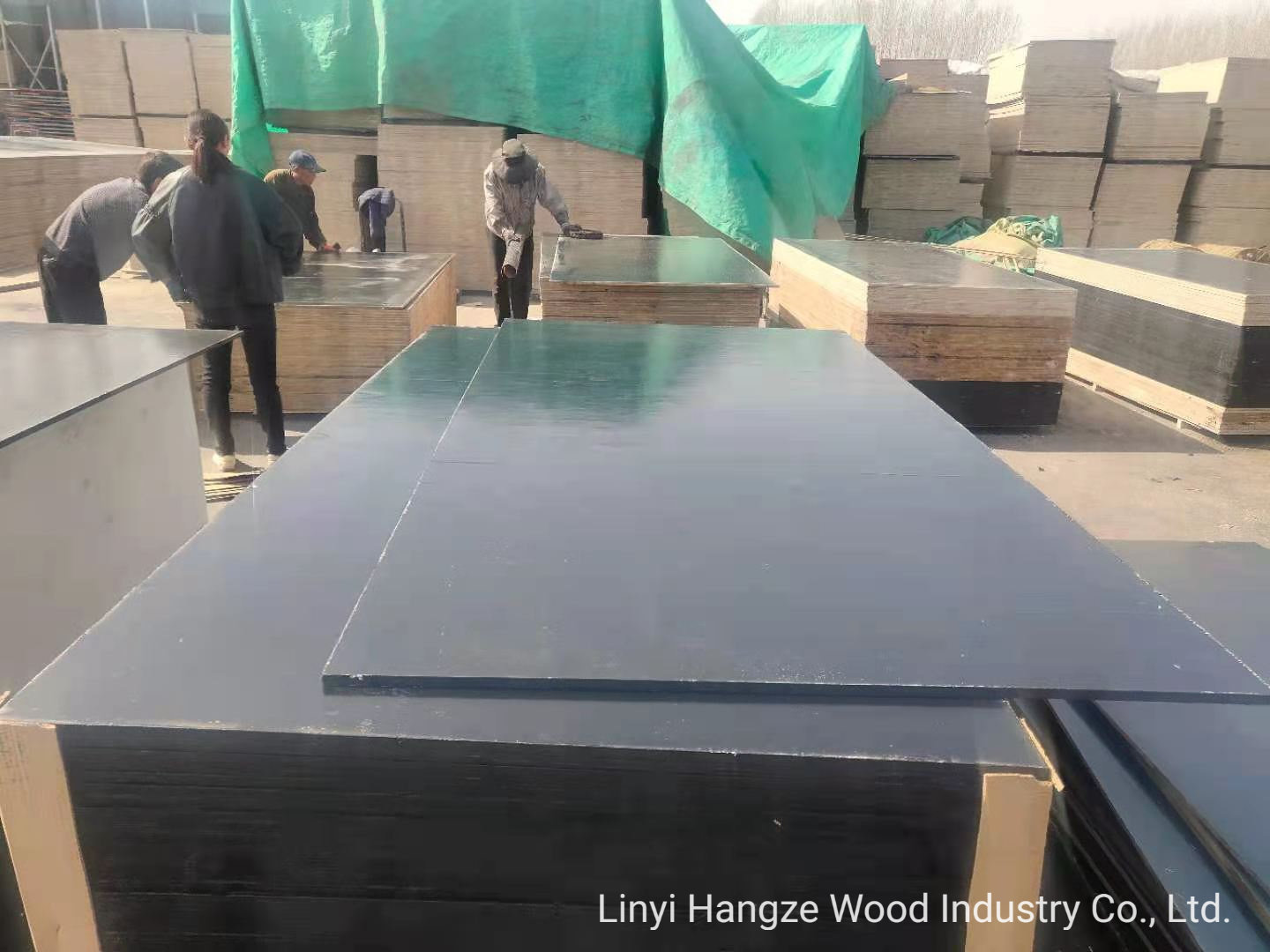 Black/Brown Film Faced Plywood, Construction Plywood, Phenolic Plywood