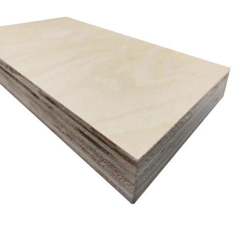 18 mm 1220X2440mm B/C Grade Eucalyptus Core Birch Commercial Plywood