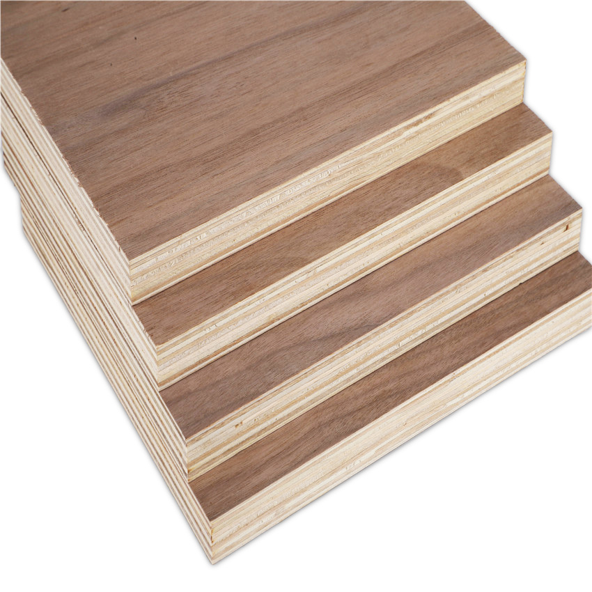 Black Walnut Plywood Board Shuttering Fancy Plywood for Office Furniture