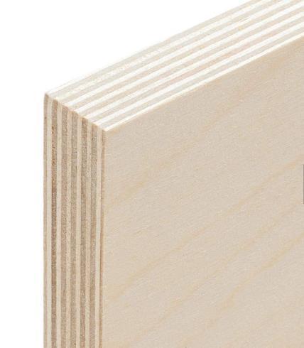 Fsc European Market Low Price Big Discount 18mm 19mm Birch Plywood