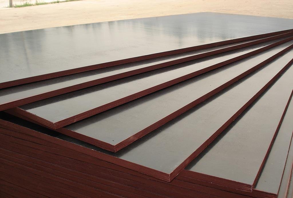 Cheap Black Film Faced Construction Plywood for Building Material