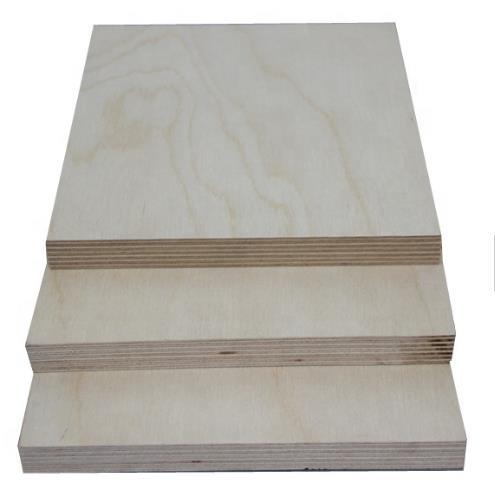 Poplar Core UV Board Birch Prefinished Plywood for Decoration